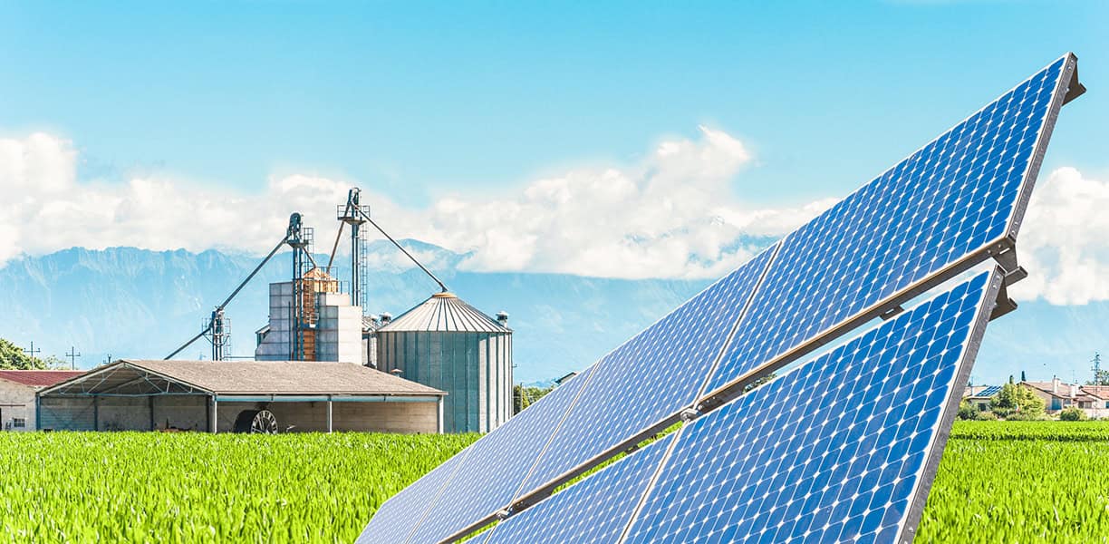 Photovoltaic mounting system Agro PV